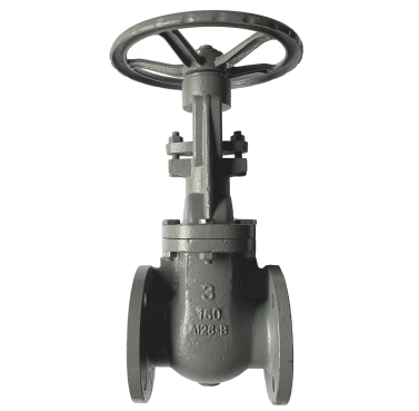 Gate Valve ANSI 150 Cast Iron — 3