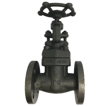 Globe Valve ANSI 150 Forged Steel — 2