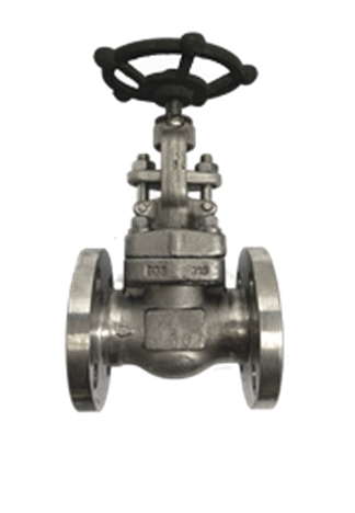 Globe Valve ANSI 150 SS316 — 3