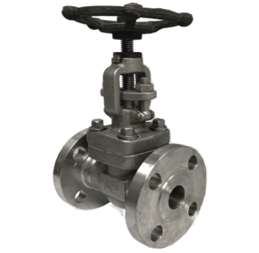 Globe valve ANSI 150 SS316