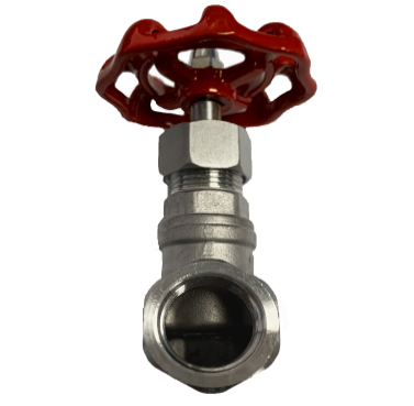 Globe Valve SS316 Berulir 200 PSI — 3