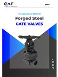 Katalog AF Hydro — Forged Steel Berulir 800 PSI