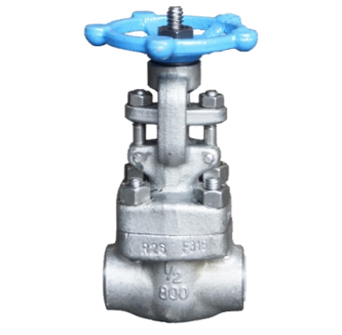 Gate valve SS316 Berulir, 800 PSI