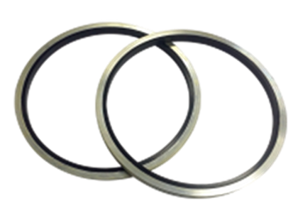 Bonded seal GS Hydro