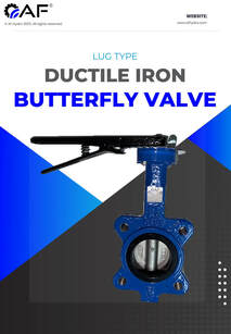 Ductile Iron Lug Type Butterfly Valves