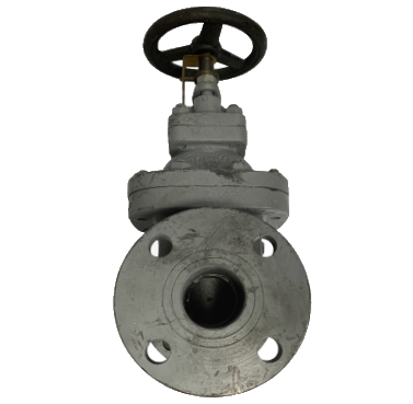 Globe Valve JIS 10K Cast Iron &mdash; 3