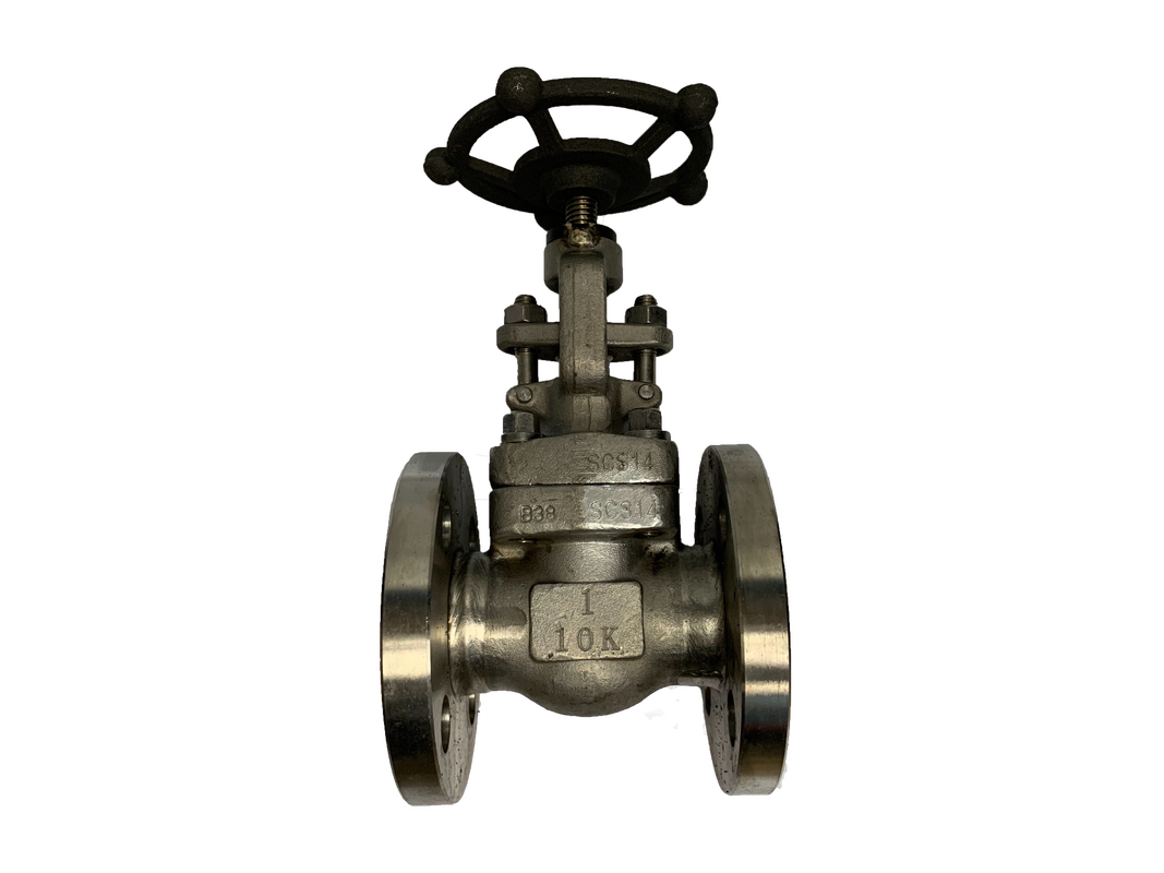 Globe Valve JIS 10K SS316 — 3