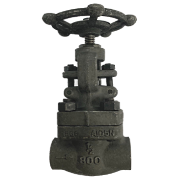 Globe valve Forged Steel Berulir