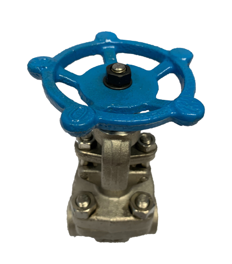 Globe Valve SS316 Berulir 800 PSI — 3
