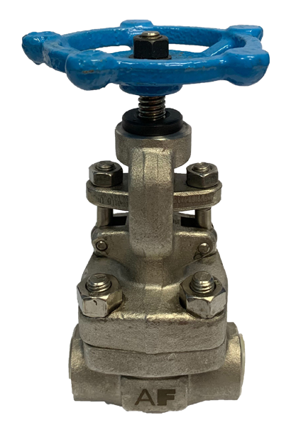 Globe valve SS316 Berulir, 800 PSI