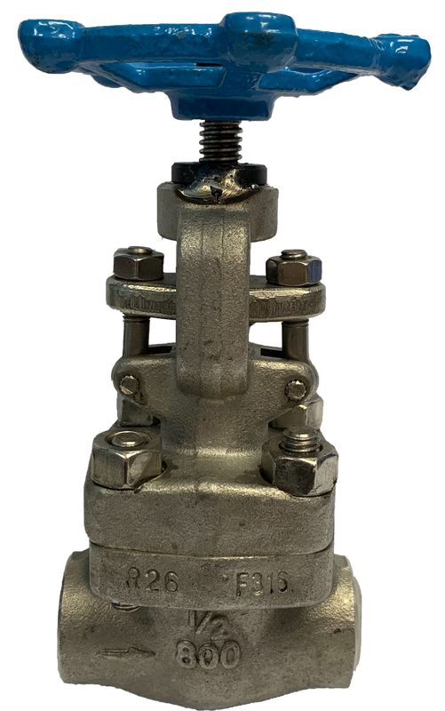 Globe Valve SS316 Berulir 800 PSI — 2