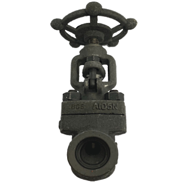 Globe valve Forged Steel Weld End