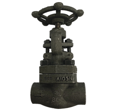 Globe Valve Forged Steel Socket Weld 800 PSI &mdash; 2