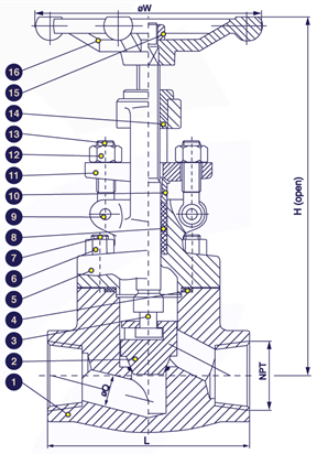 Gambar potongan globe valve forged steel berulir 800 PSI