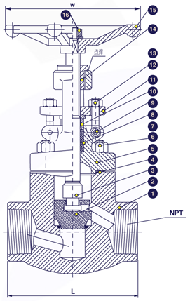 Gambar potongan globe valve SS316 berulir 800 PSI