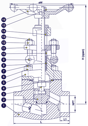 Gambar potongan globe valve forged steel weld end